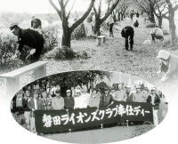 �����؂̑�����